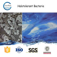 HALOTOLERANT BACTERIA wastewater and garbage treatment